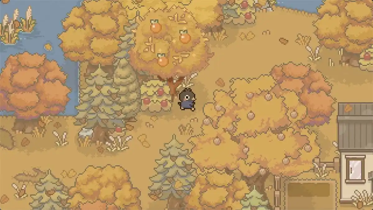 Call of Boba Bobo Exploring